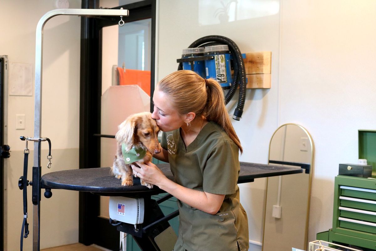 Ashlyn and Bean on the grooming table