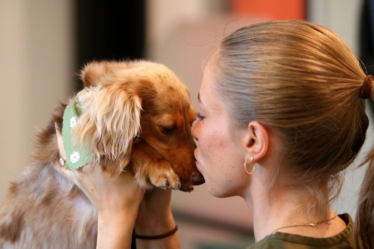 Ashlyn nose to nose with Bean