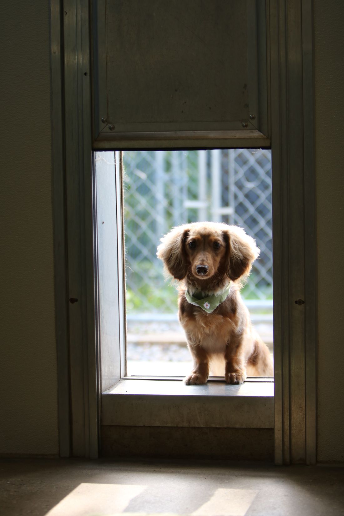 Bean standing in the salon doorway